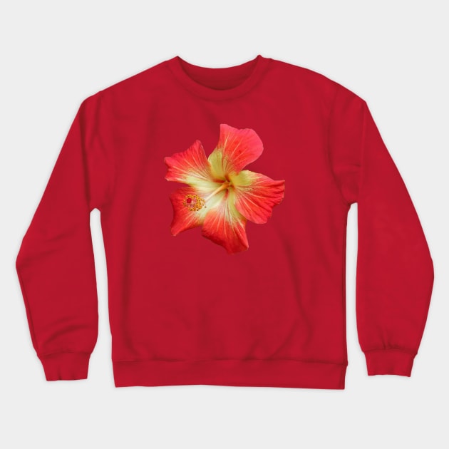 Gorgeous Red And Yellow Hawaiian Hibiscus Flower Crewneck Sweatshirt by taiche